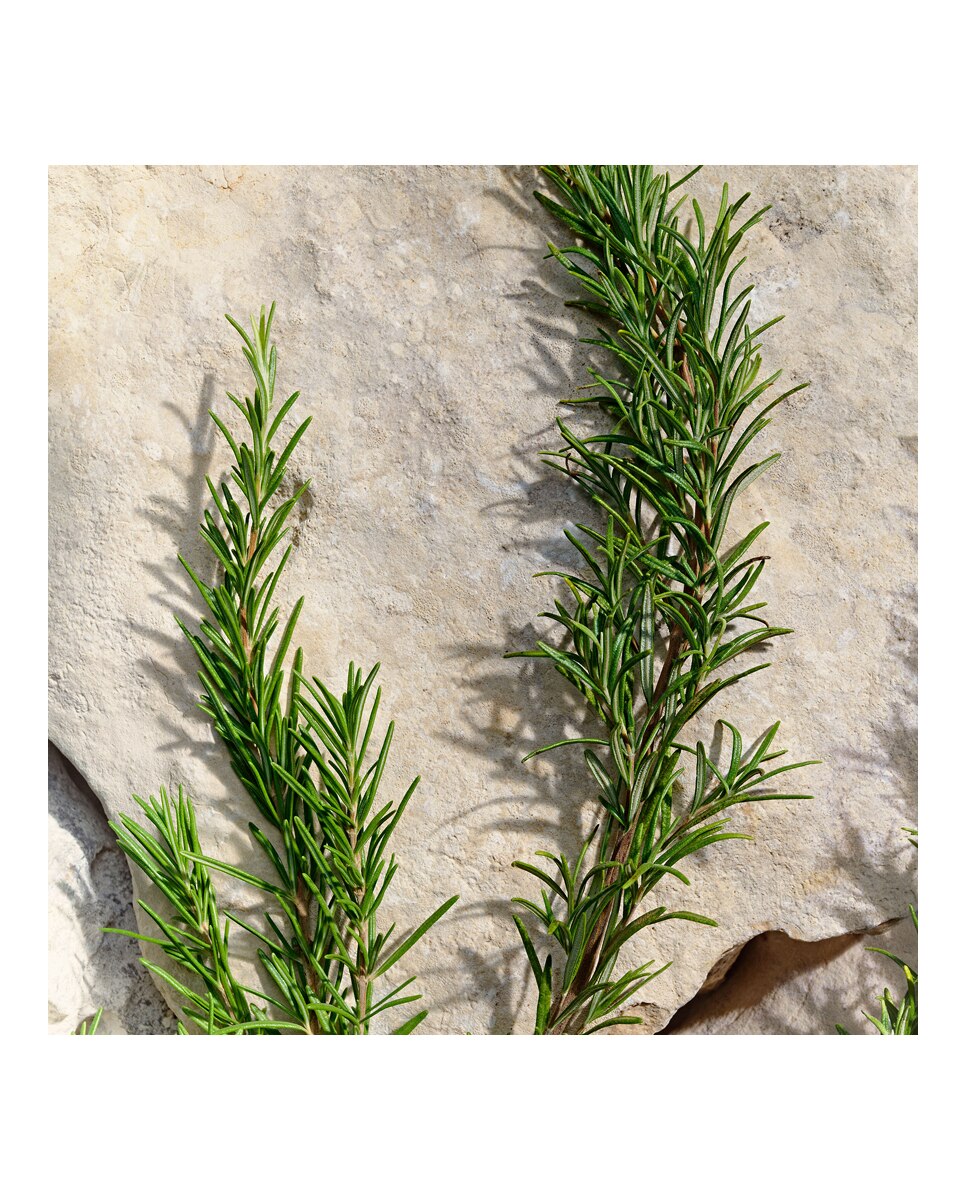 Thumbnail 5 de Dolce & Gabbana Estuche Light Blue Pour Homme 📁