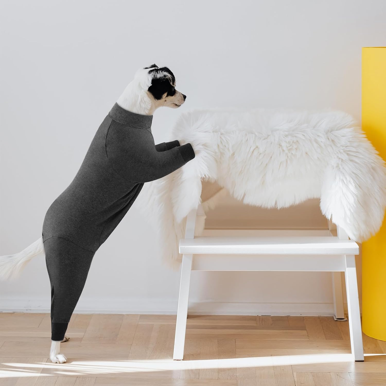 Thumbnail 5 de CITÉTOILE Einteiler-Erholungsanzug für Hunde (Langarm), OP-/Wundschutz-Body – Grau, Größe M