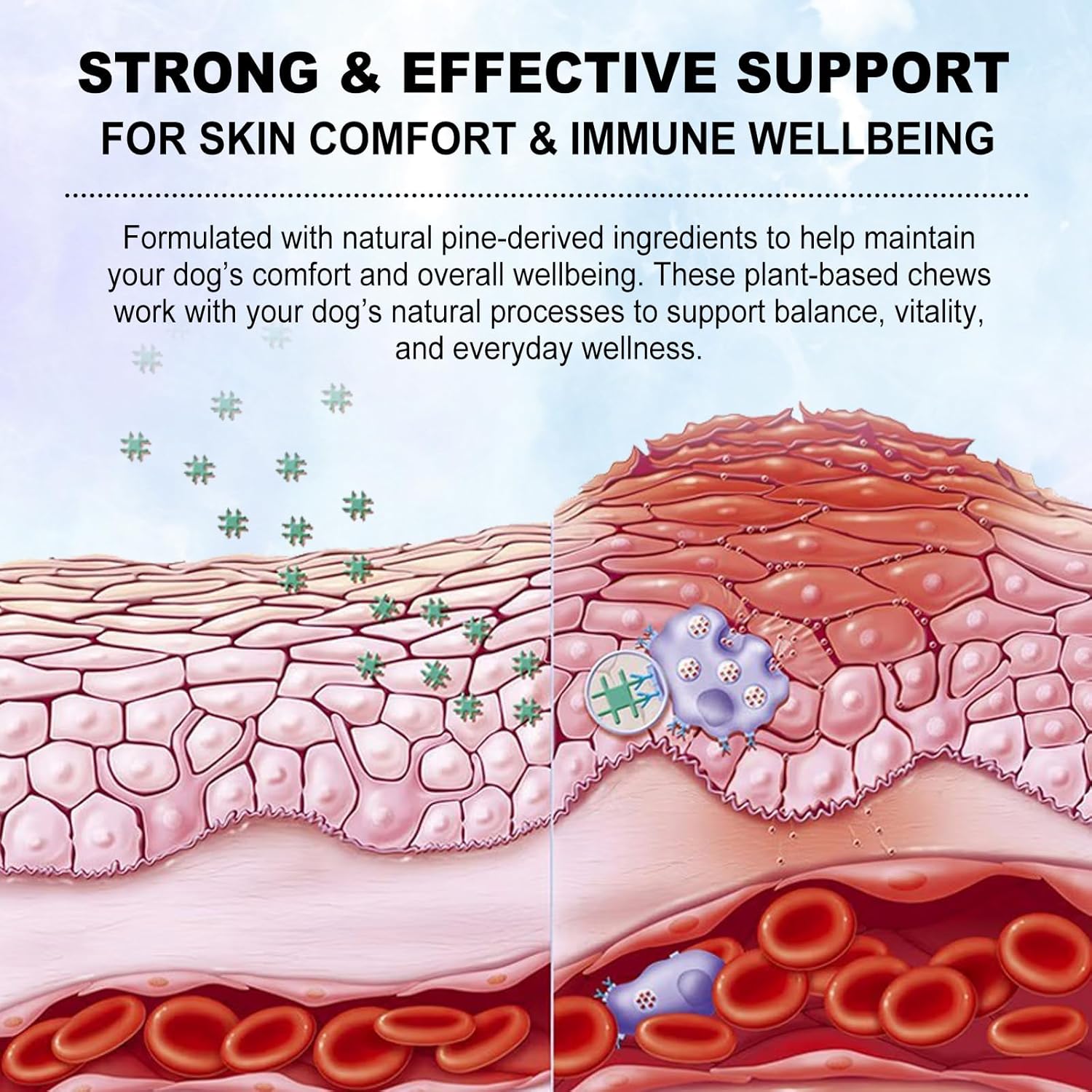 Thumbnail 1 de Bieyoc Sollievo dal prurito cutaneo per cani con quercetina, bromelina e curcuma (150 pezzi, gusto anatra)