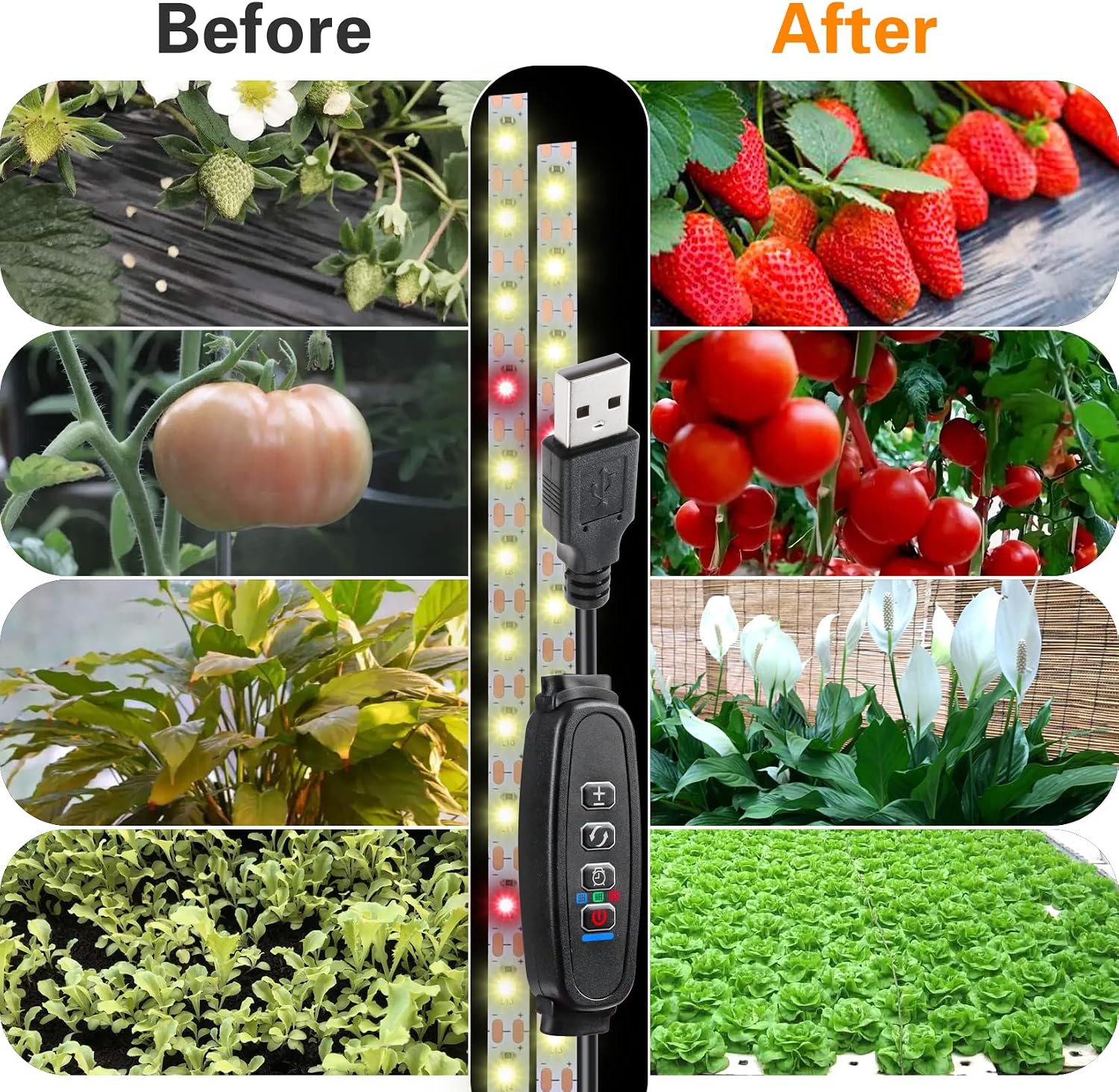 Detalle de LYGZM csx-2835 LED Grow Light, 120 LEDs, Full Spectrum, Dimmable Timer