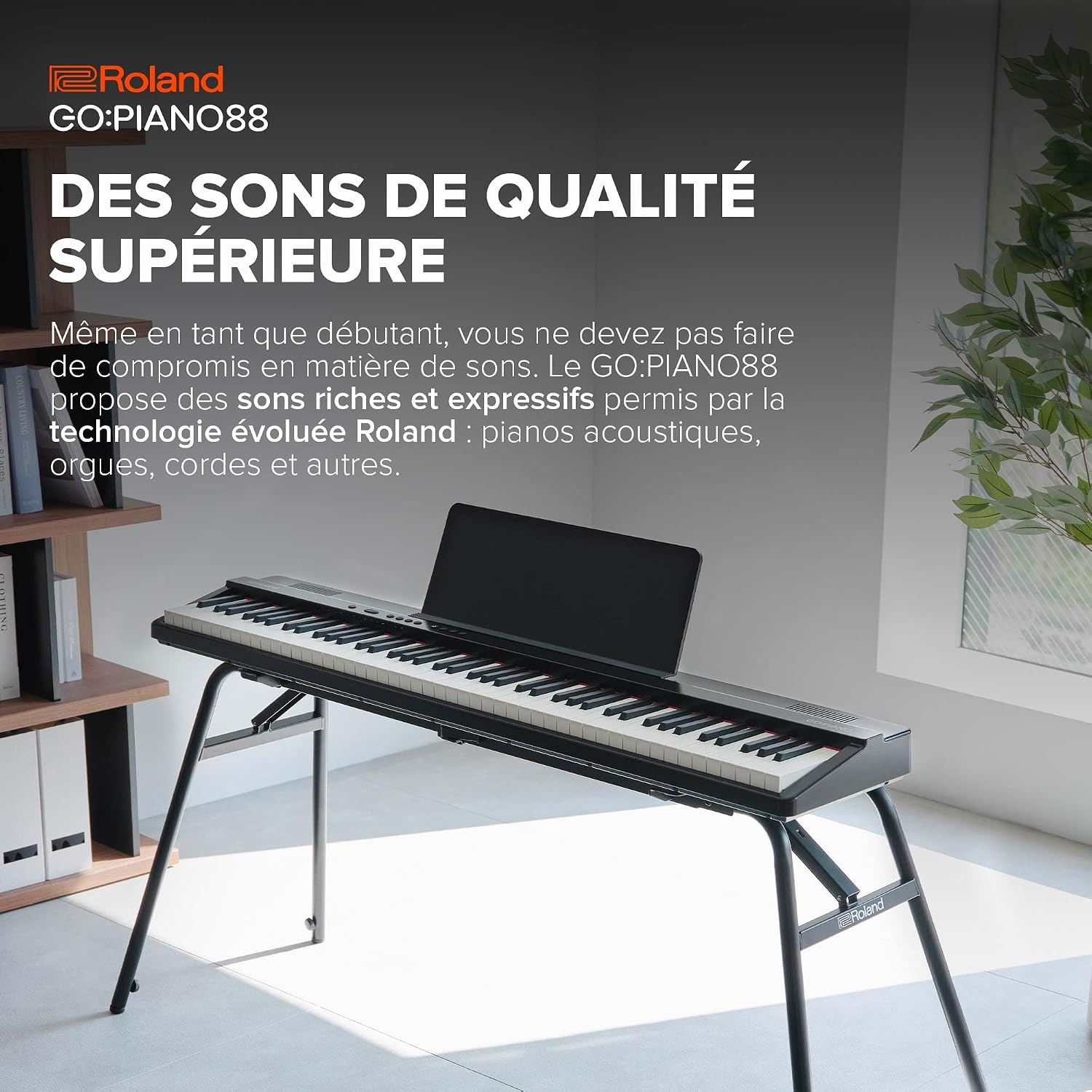 Detalle 2 de Roland GO:PIANO88 GO-88PX digitale piano met 88 toetsen, Bluetooth en MIDI