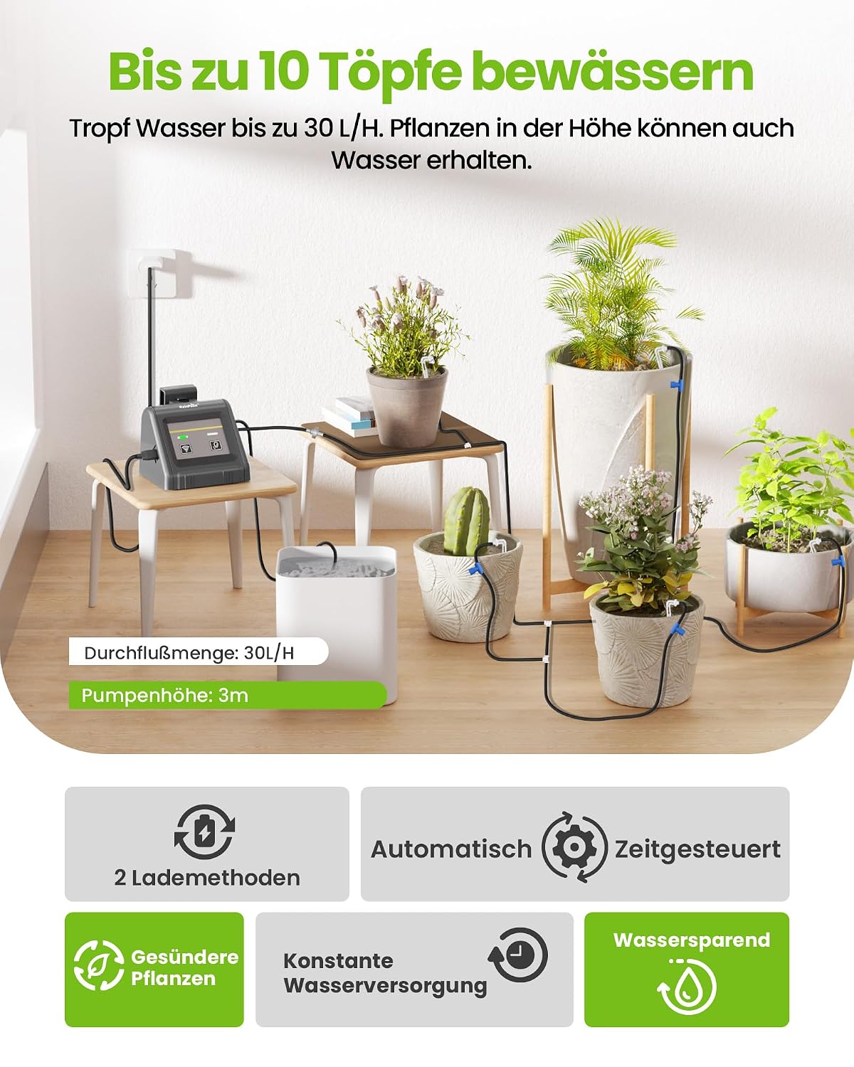 Detalle de RAINPOINT WiFi sistema di irrigazione automatica per vasi fino a 10 piante con app e controllo remoto