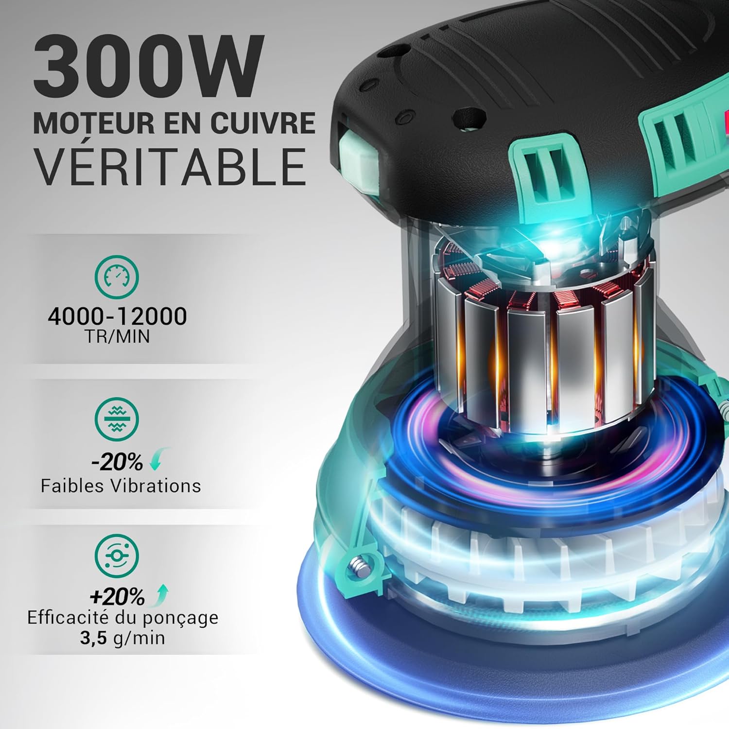 Thumbnail 1 de Ponceuse excentrique DCA 300W, 6 vitesses jusqu’à 12000 tr/min avec collecteur de poussière (disques 125 mm, 10 abrasifs)