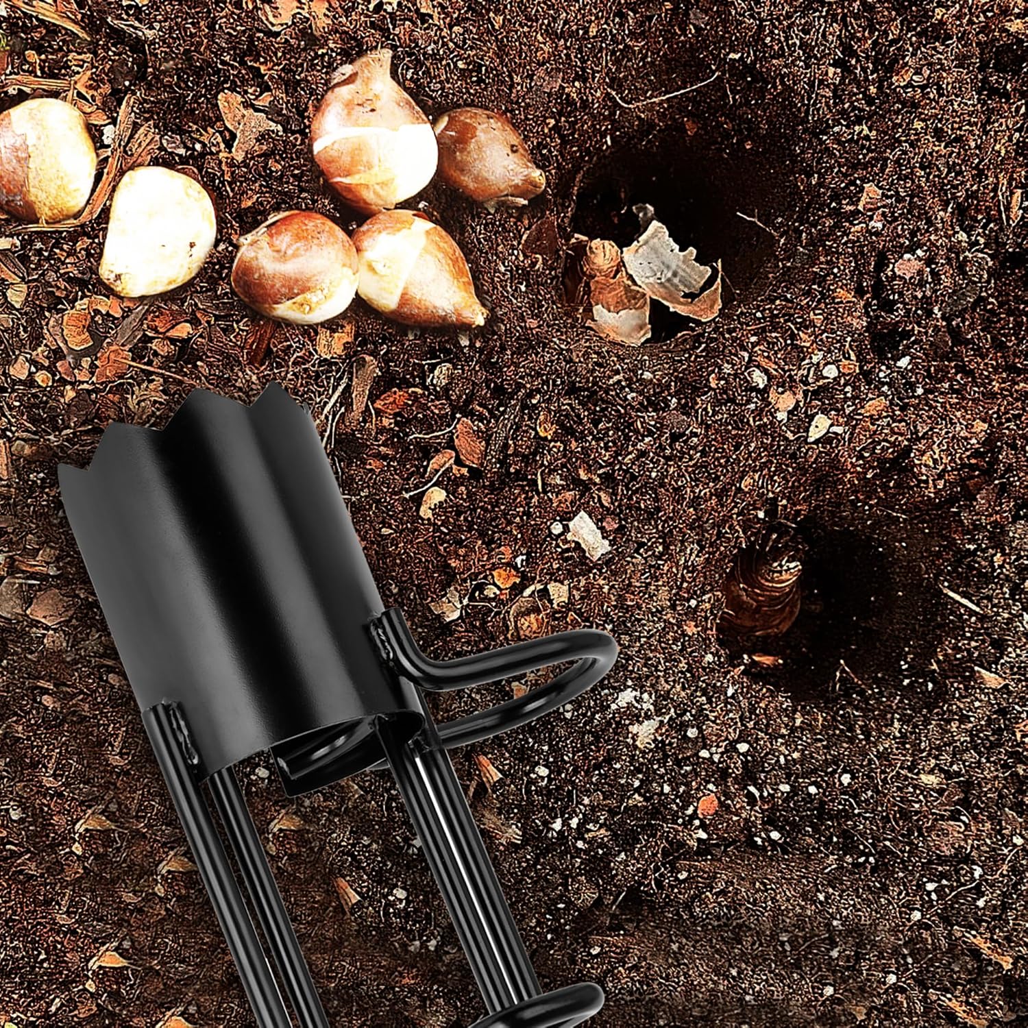Thumbnail 6 de BARAYSTUS Bulb Planter Tool 5 in 1: una piantatrice da giardino a stelo lungo in acciaio al carbonio