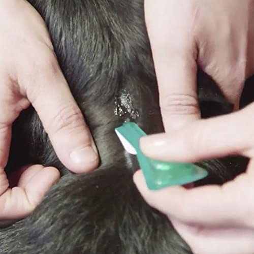 Detalle de FRONTLINE Plus Flea & Tick Treatment for Small Dogs – 3 Pipettes