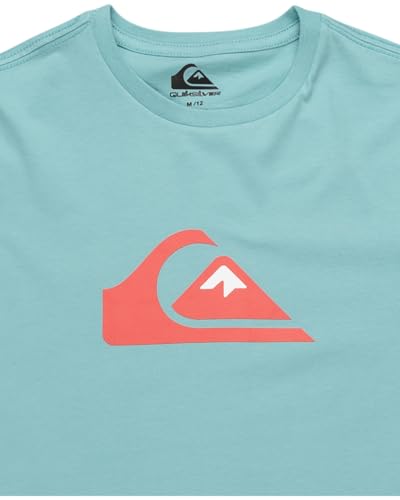 Detalle de Quiksilver Comp Logo camiseta chicos 8-16