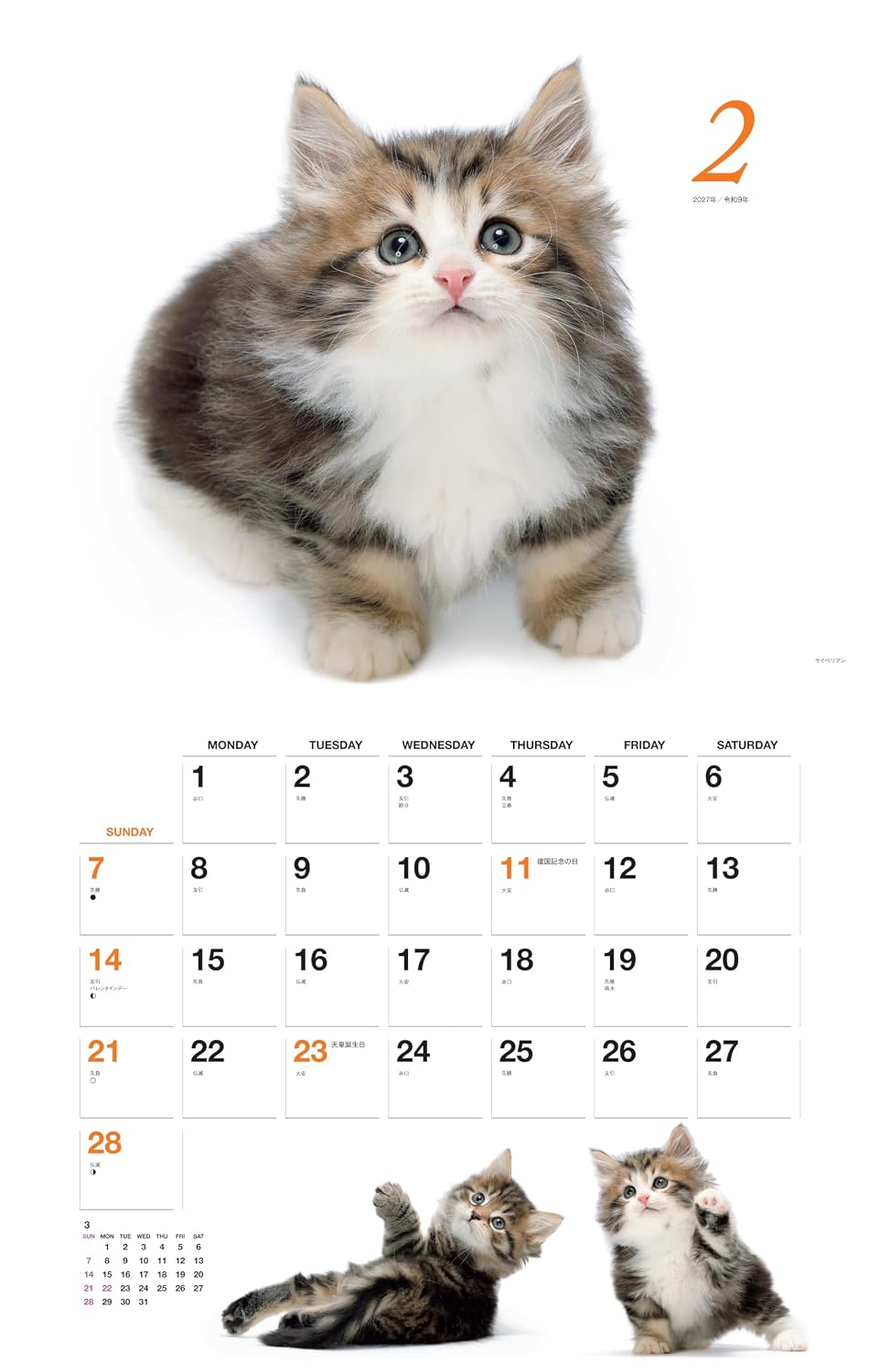 Detalle 2 de ヤマケイカレンダー2027 ほのぼの子ねこ 壁掛け月めくりカレンダー