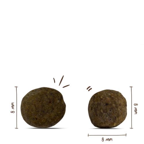 Thumbnail 6 de bosch HPC Mini Senior – Trockenfutter für ältere kleine Hunderassen (bis 15 kg), 2,5 kg