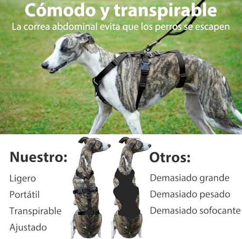Detalle 2 de Paworld Harnais anti-fugue pour chien, réglable, respirant ⚙