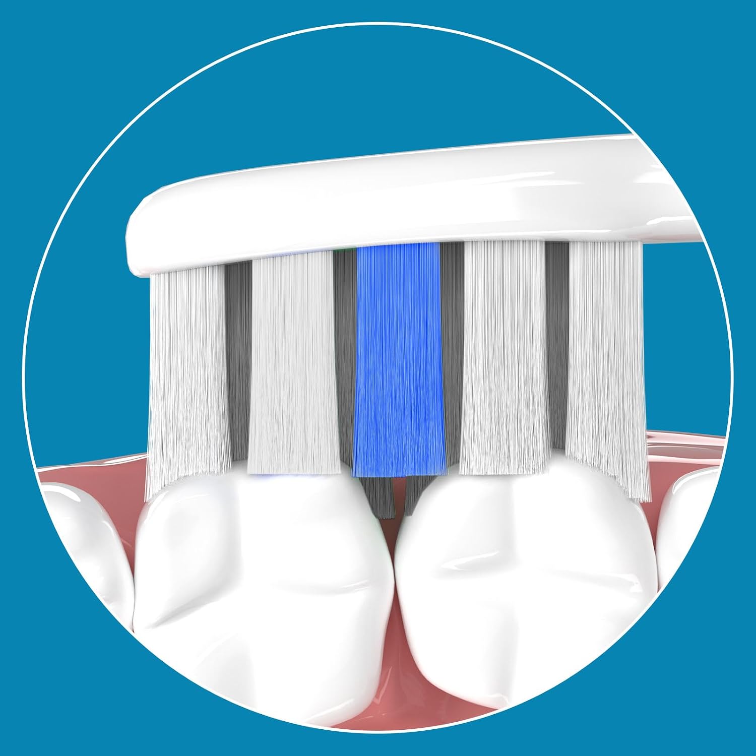Detalle de Lächen Ersatzbürstenkopf Standard, passend für Aufsteckbürsten (S131) – 4 Stück