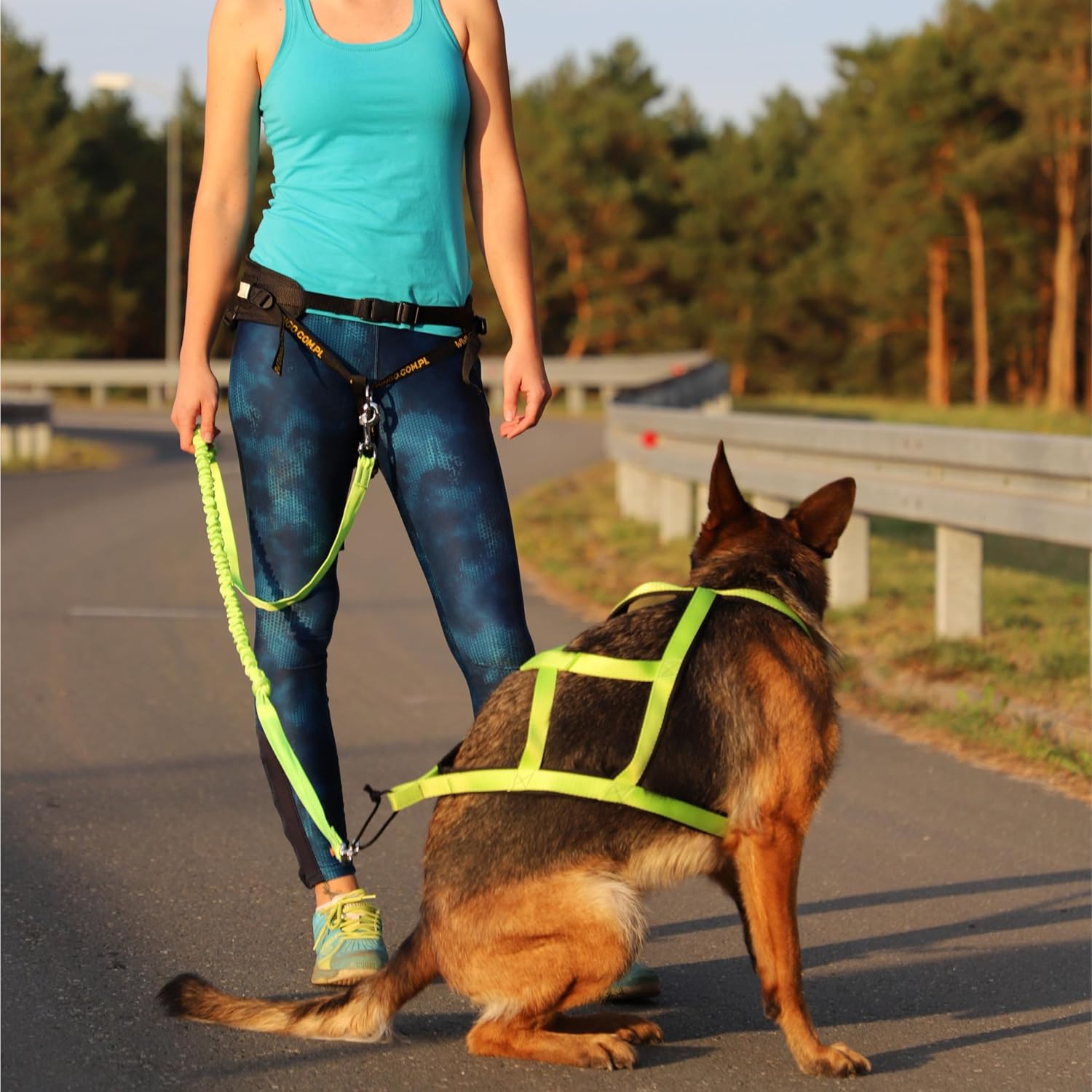 Detalle 2 de DINGO Canicross Set 170 cm lead