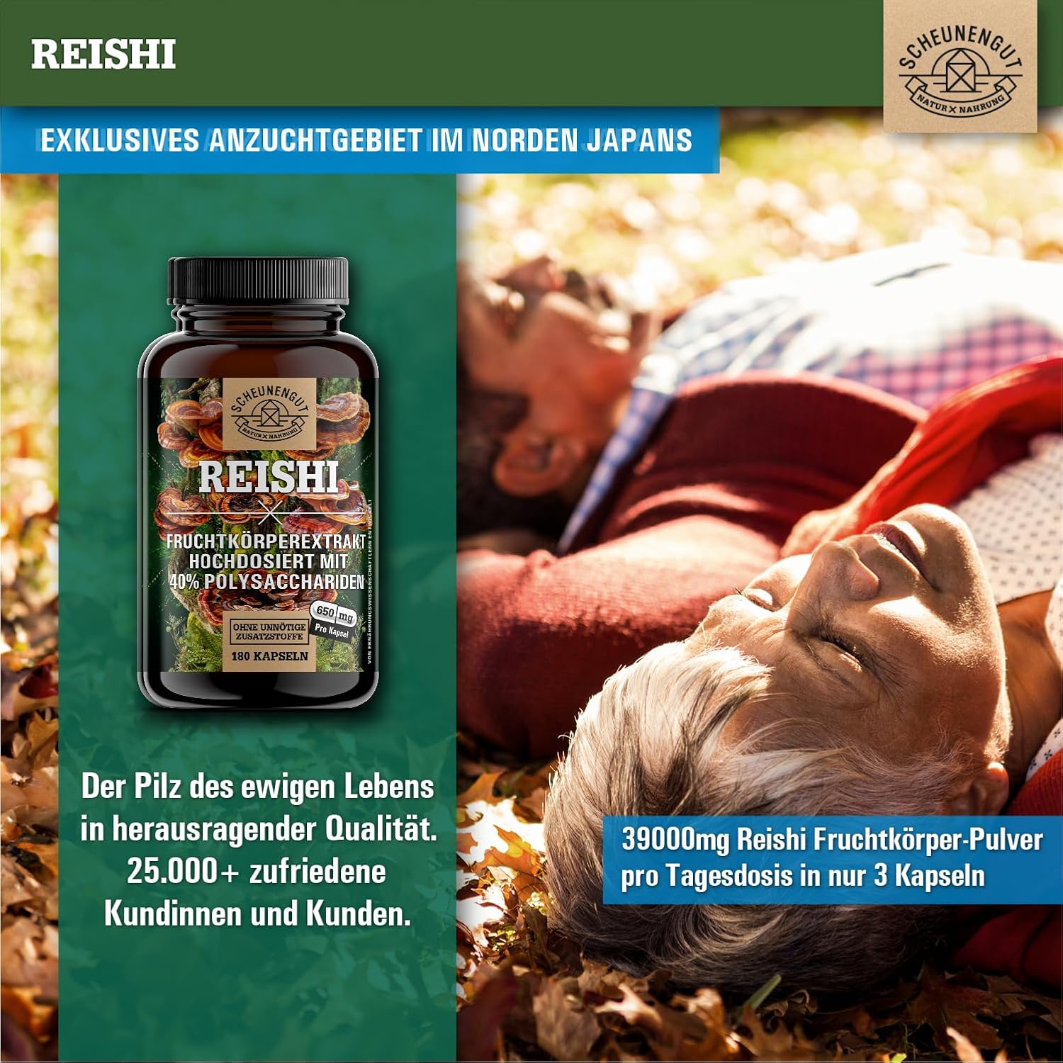 Detalle 2 de Reishi 1950mg Kapseln 20:1 Extrakt 🍄
