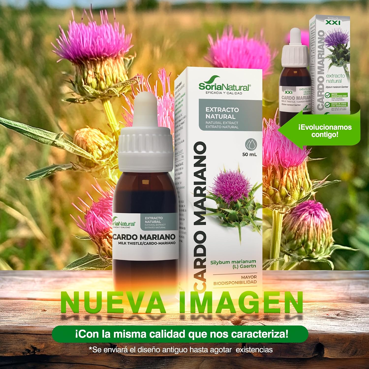 Detalle 2 de Soria Natural Cardo Mariano Extracto 50ml