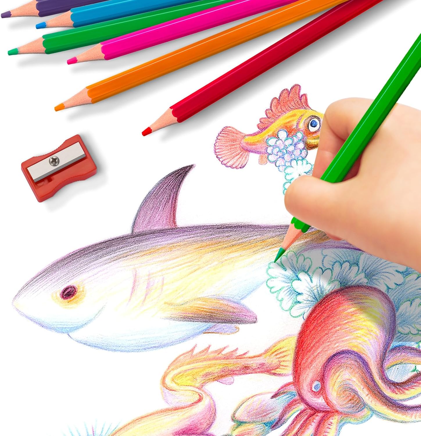 Detalle de 240 Count Colored Pencils Bulk for Classroom – 12 Vibrant Colors, Pre-Sharpened with 24 Sharpeners