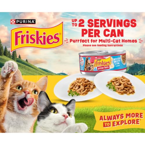 Thumbnail 9 de Purina Friskies Extra Gravy Wet Cat Food Chunky Variety Pack (Chicken, Turkey, Salmon, Beef) — 24x5.5 oz Cans