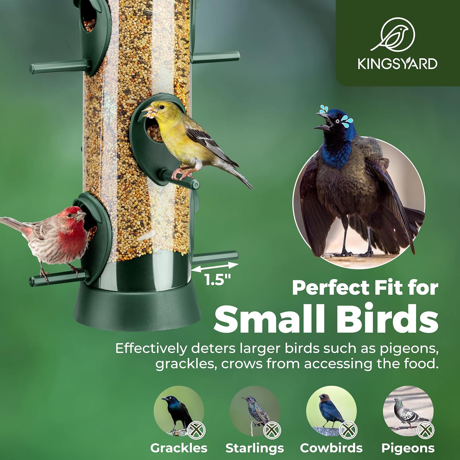Thumbnail 3 de Kingsyard 2 Pack Tube Bird Feeder for Outdoors – 6 Ports, Removable Base & Easy-Clean Design (Green)