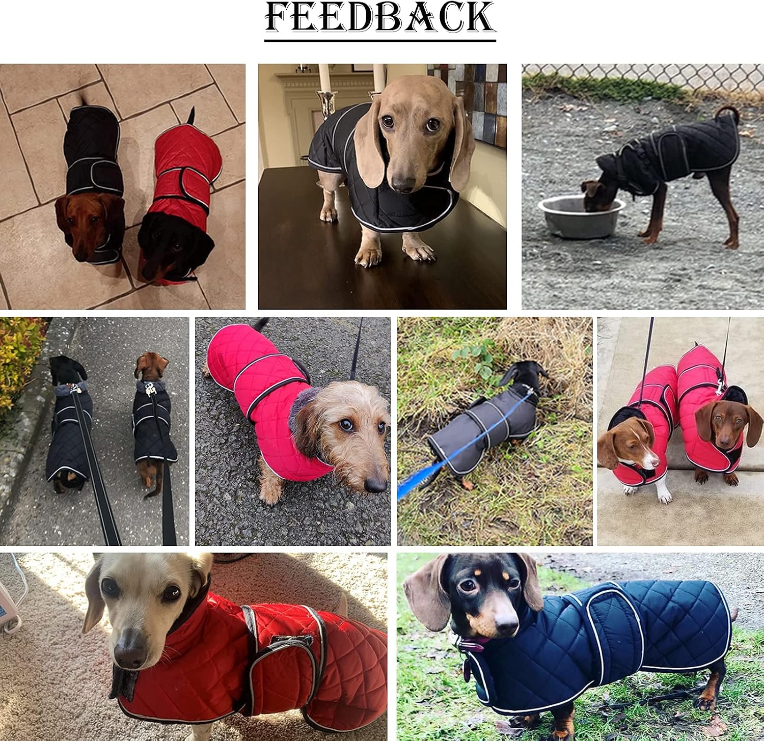 Thumbnail 4 de Morezi Dachshund Winter Coat with Padded Fleece Lining, Navy, Medium