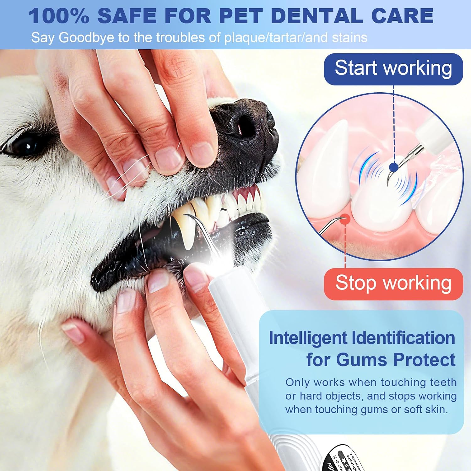 Detalle de ETACCU Dog Plaque Remover for Teeth – Low Noise Sonic Clean with LED Light