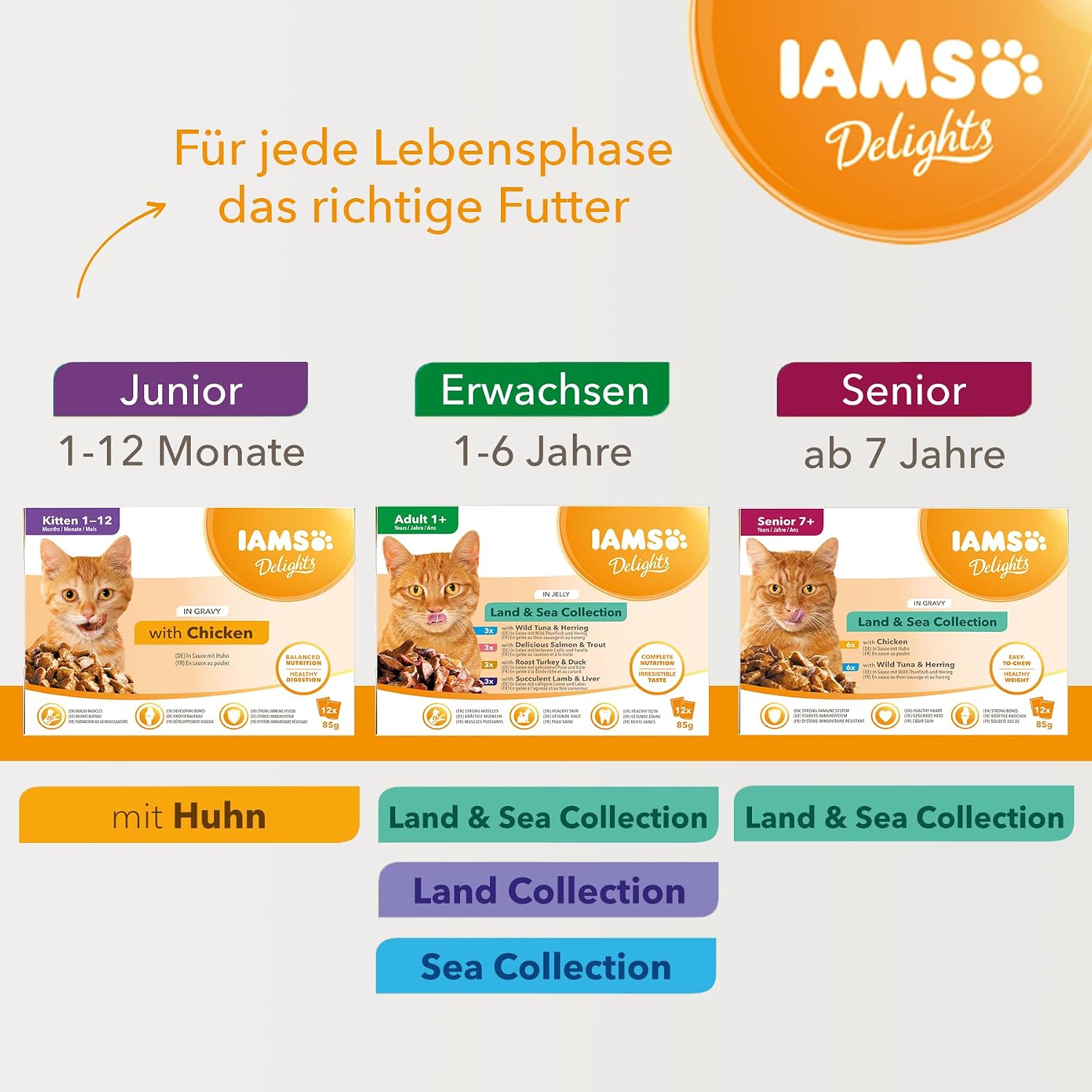 Detalle 2 de Iams Advanced Nutrition Chat Adulte Assortiment Terre Land en gelée – 72 sachets x 85 g