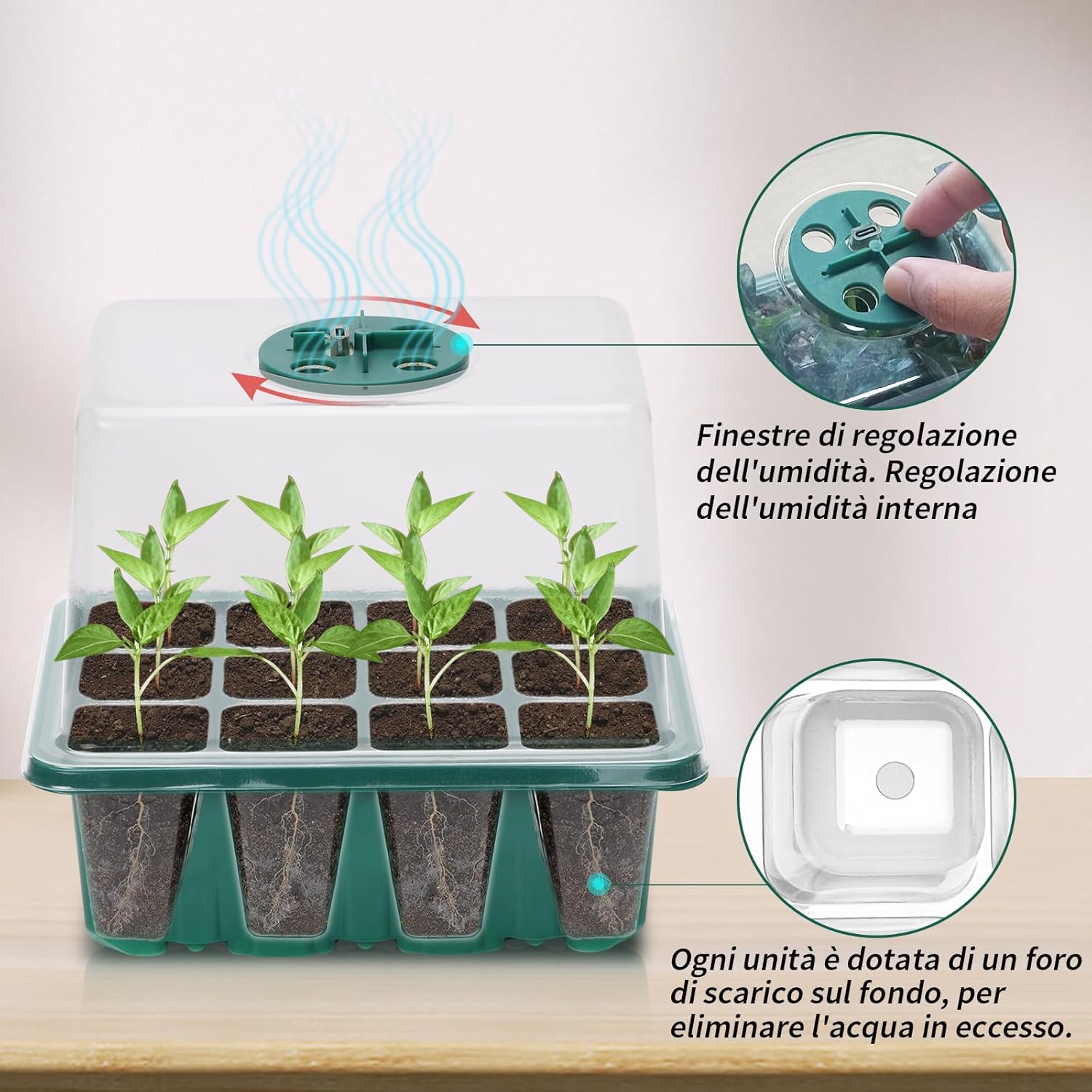 Thumbnail 2 de Kit vassoi per germinazione con luce a spettro completo 🌱