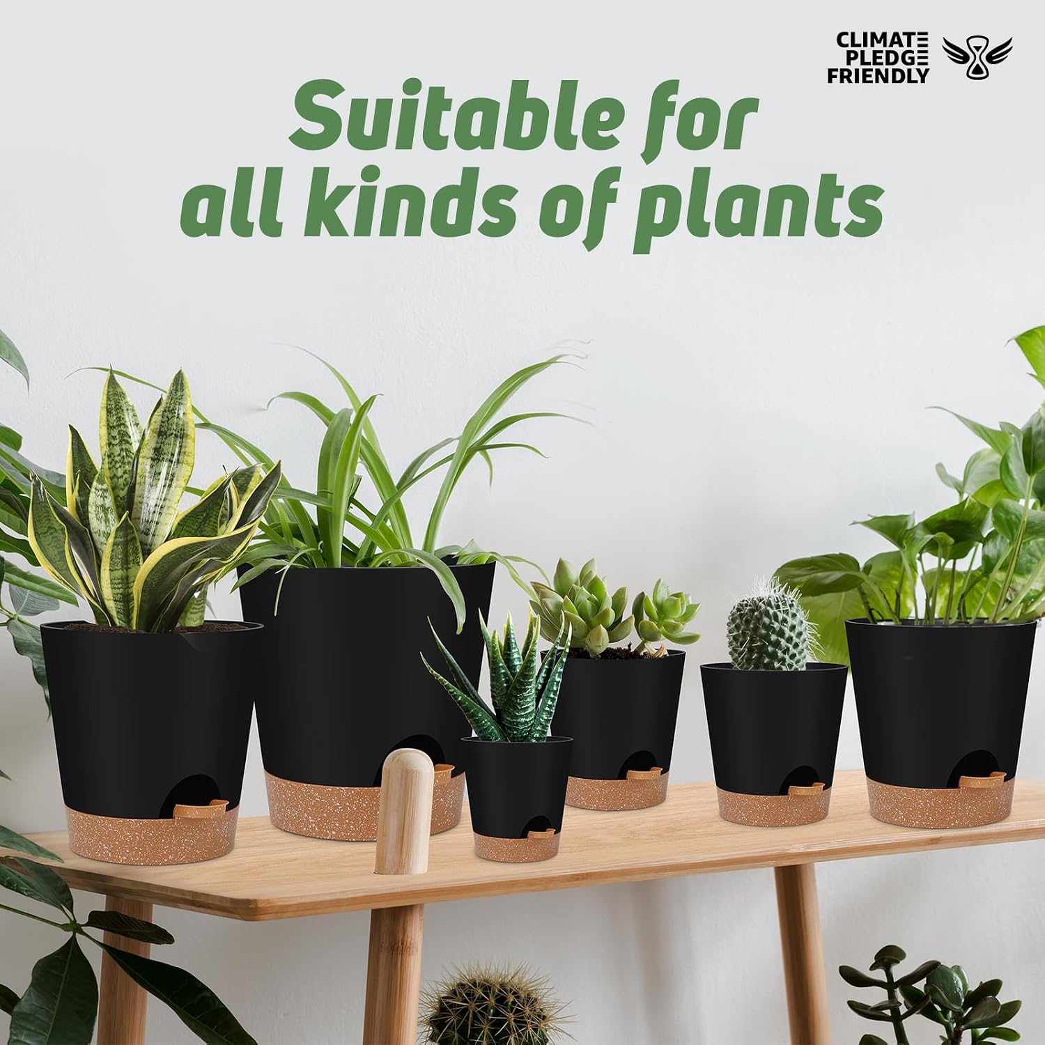 Thumbnail 6 de YNNICO 6-Piece Self-Watering Planter Set, Black Plastic Pots, 5–8 Inches