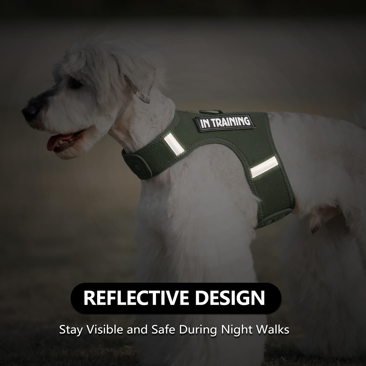 Thumbnail 6 de Sunraymascota Small Dog Harness with Reflective Design (Misty Green, Size S) – Adjustable, Lightweight & Breathable