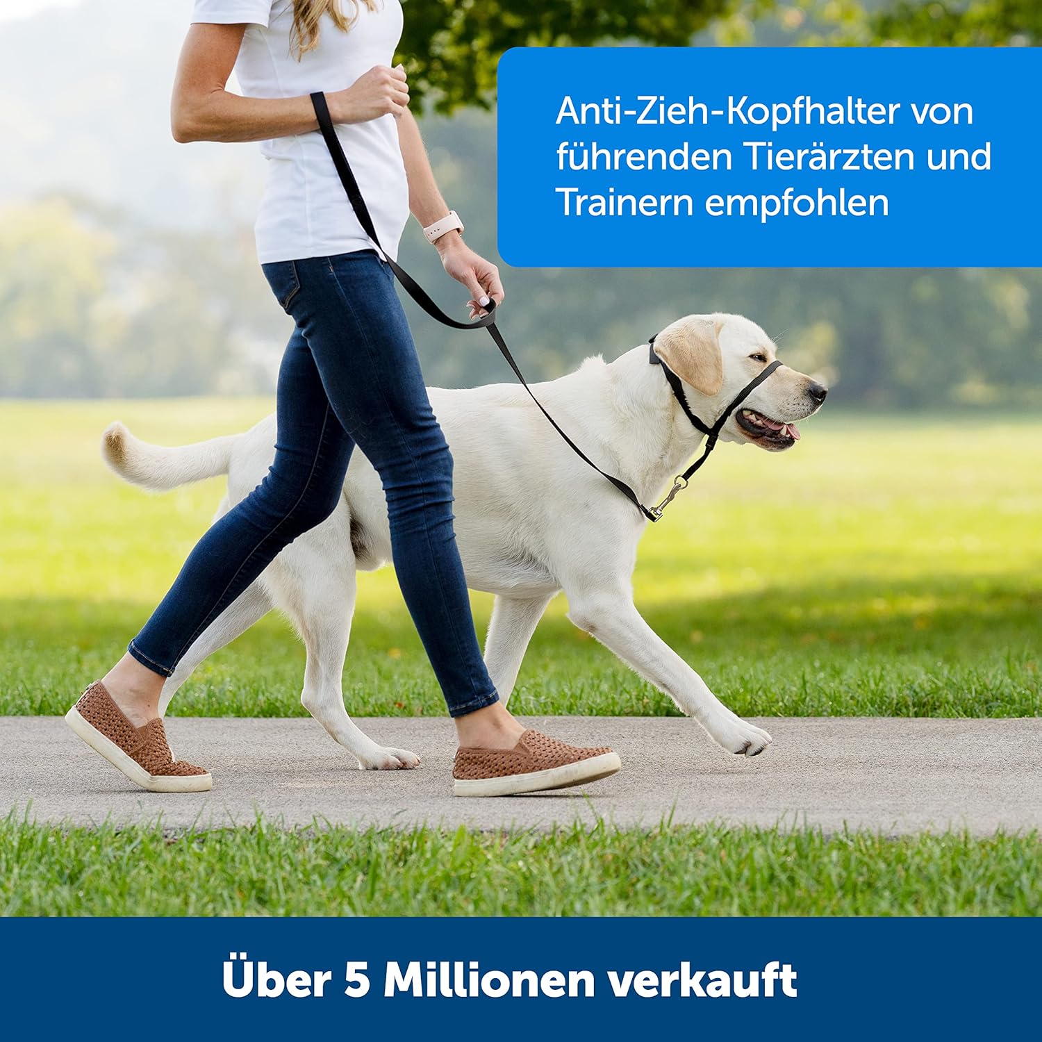Thumbnail 4 de PetSafe Easy Walk Kopfhalfter Größe S
