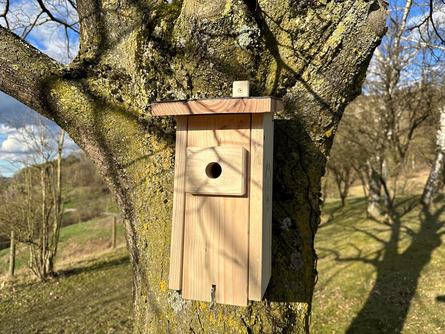 Detalle 2 de Vogelnistkasten mit Kamera Live Stream 3 MP