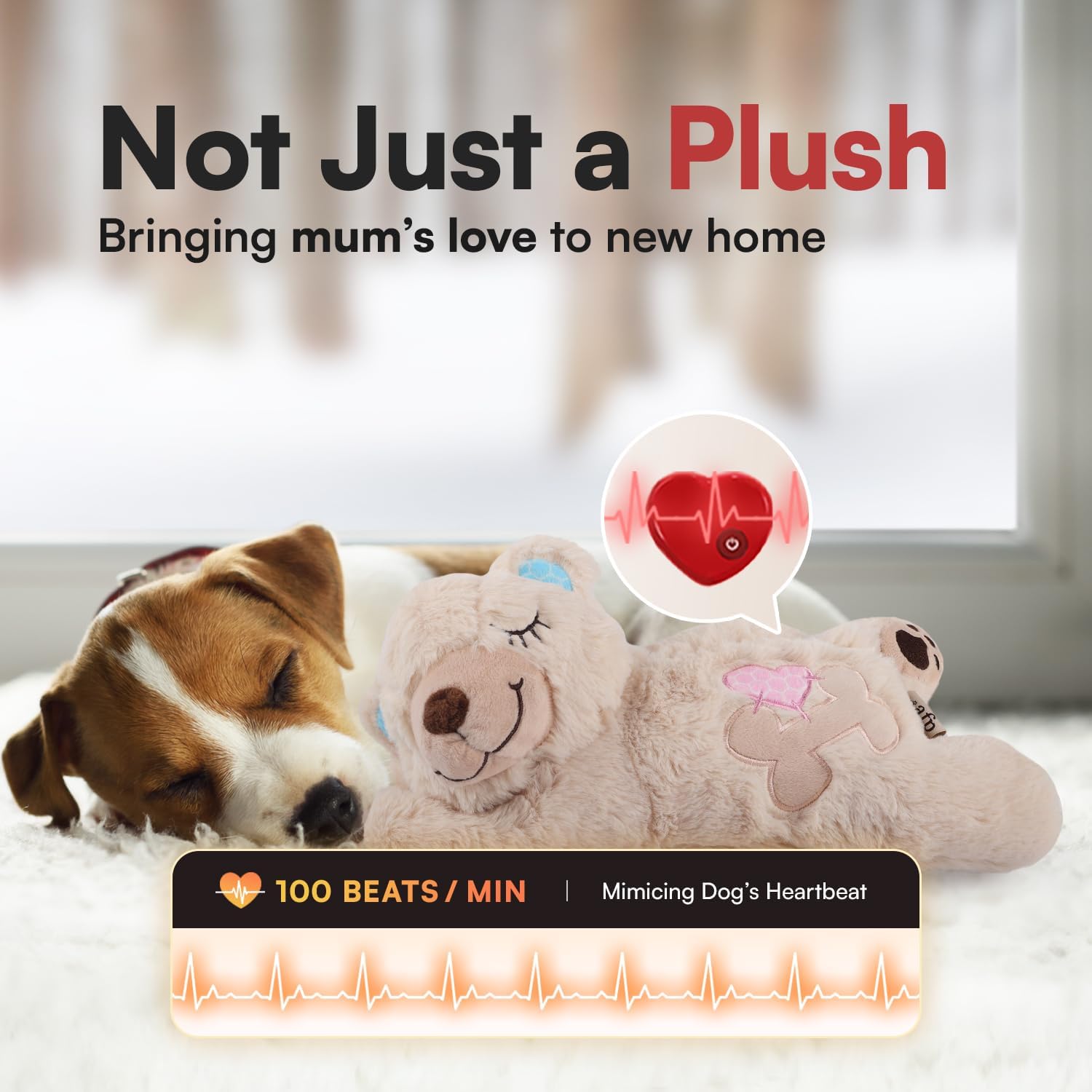Thumbnail 1 de ALL FOR PAWS Little Buddy Heart Beat Sheep: Soothing Puppy Toy with Heartbeat and Warmth