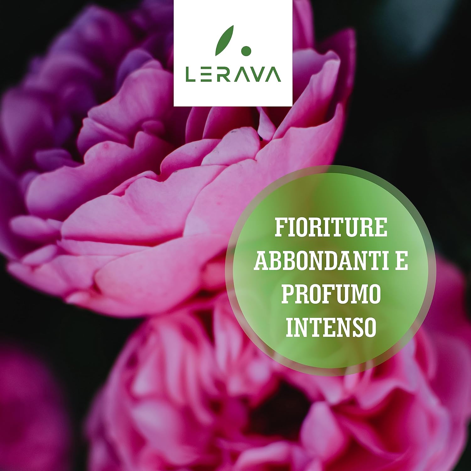 Thumbnail 3 de LERAVA Concime Rose organico (2x800g): fertilizzante 100% biologico per rose in vaso e a terra