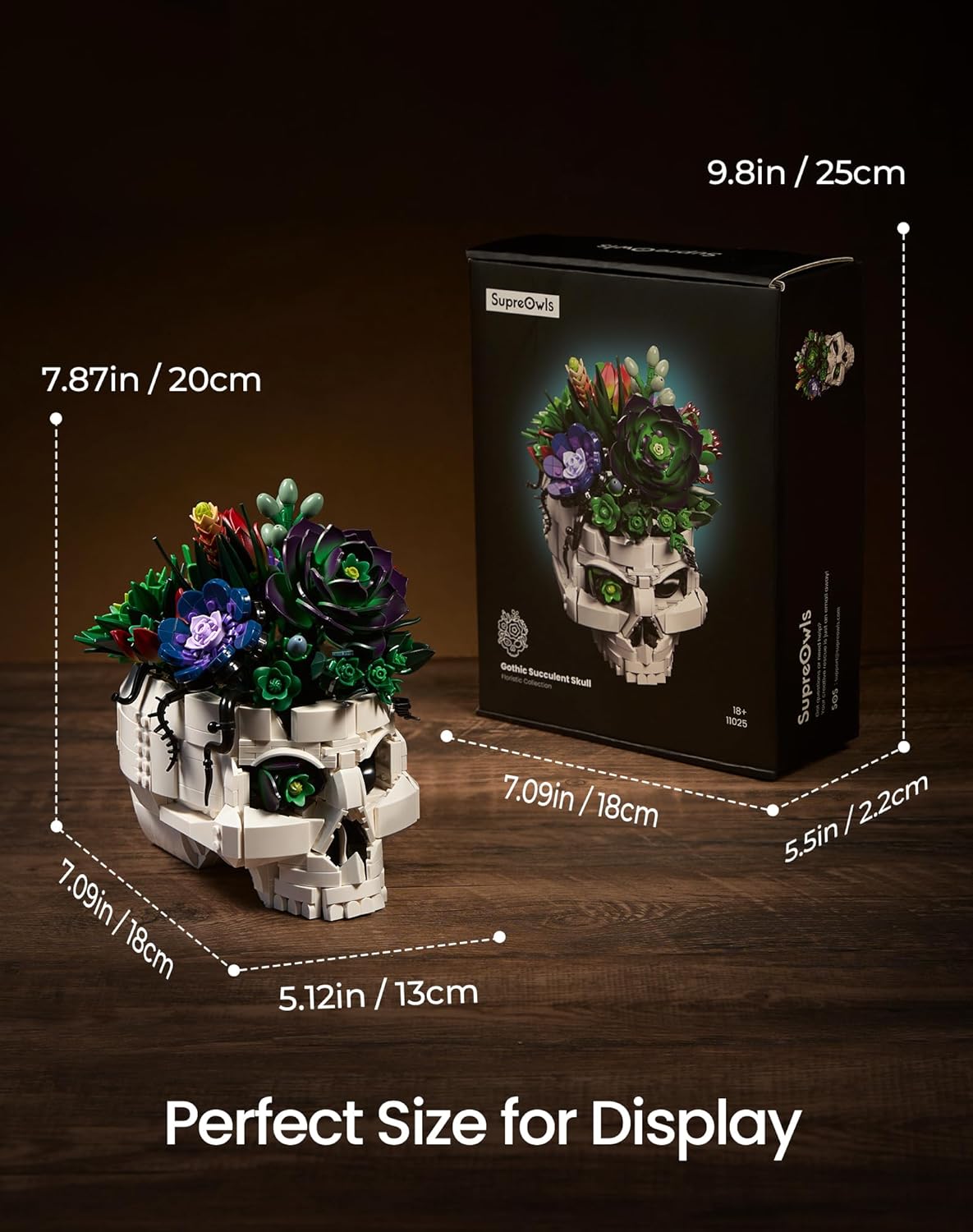 Detalle de Succulent Skull Planter Flowers Building Set: Gothic Skeleton Pot Display Kit