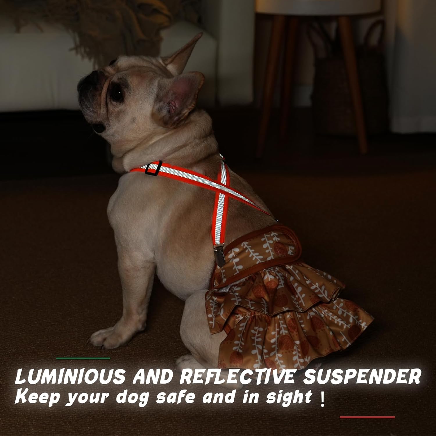 Thumbnail 2 de Hisprout Hundewindel Hosenträger L