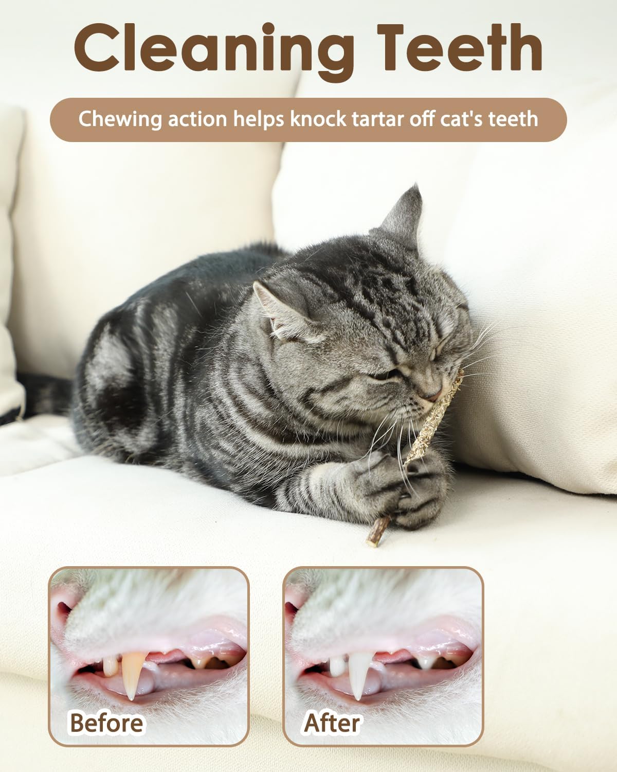 Detalle de Tocirelo Cat Toys 12pack Silvervine Chew Toys with Feathers and Catnip