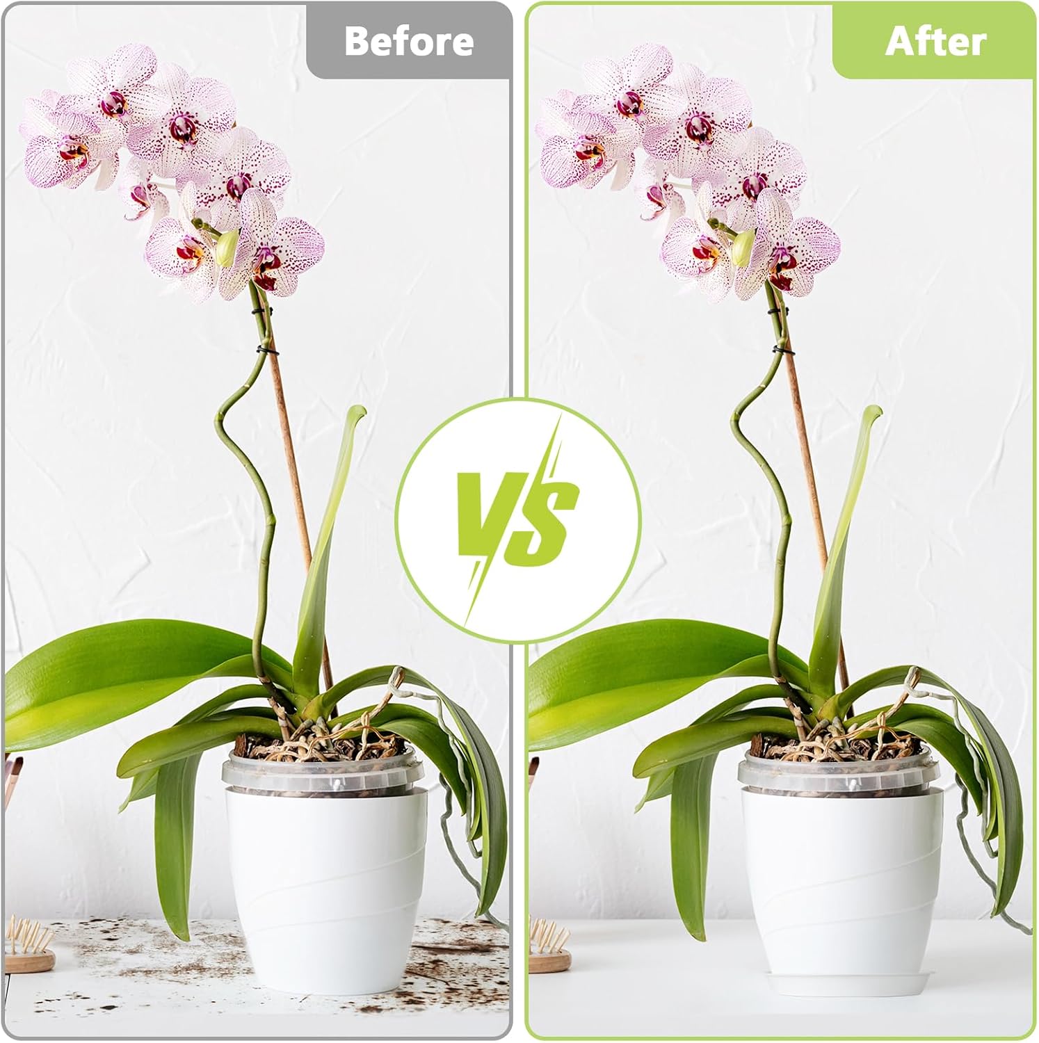 Thumbnail 4 de Muzhira 6 Pack Plant Saucers (38.5cm) – White PP drip trays for indoor and outdoor pots