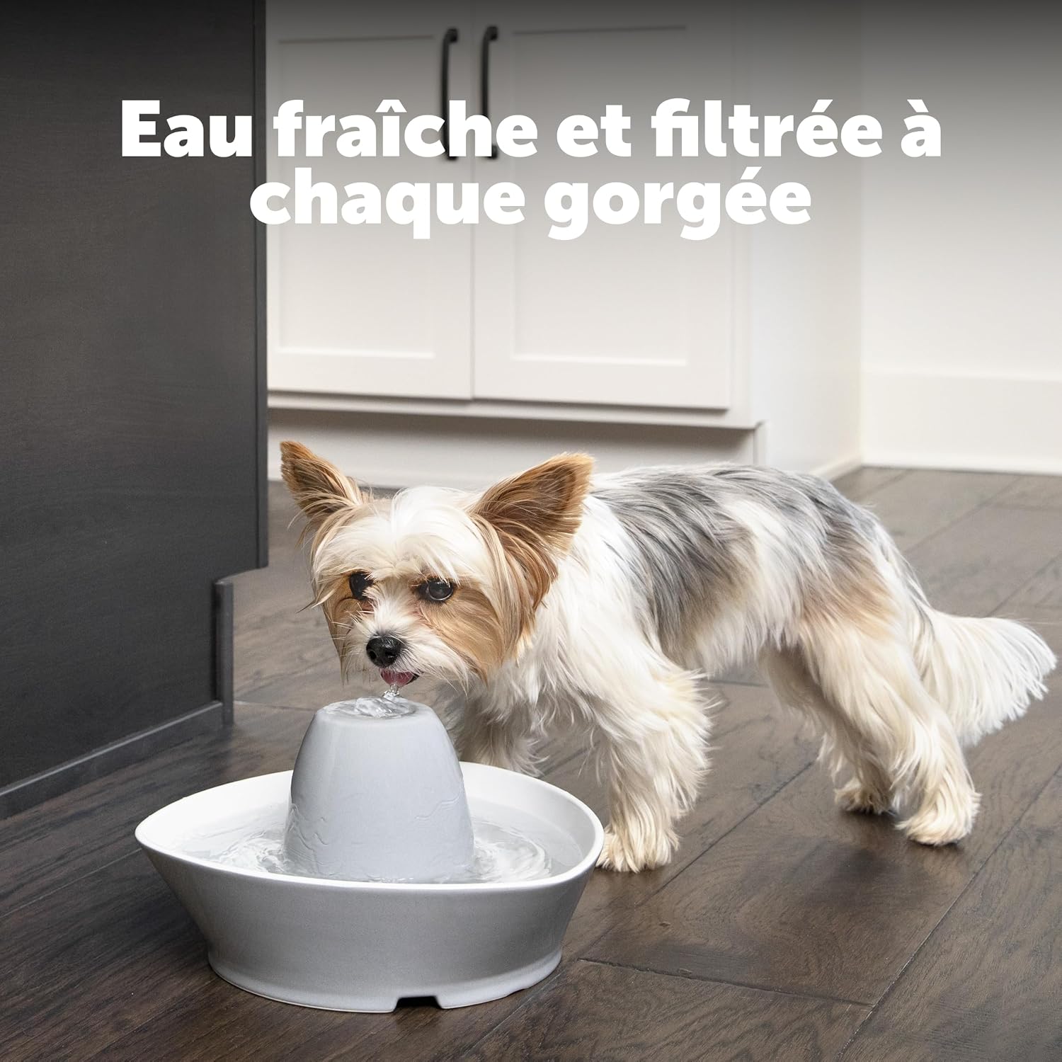 Detalle de Petsafe – Filtre au charbon de rechange pour fontaine Drinkwell Avalon et Pagoda (4 filtres)