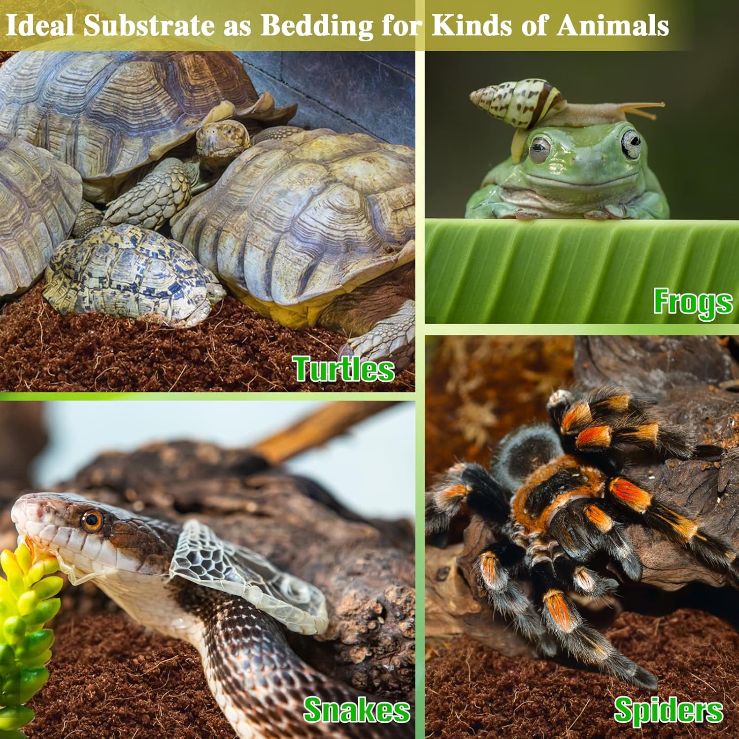 Thumbnail 4 de ZeeDix Kokosfaser-Substrat 1,4 lb 🐢