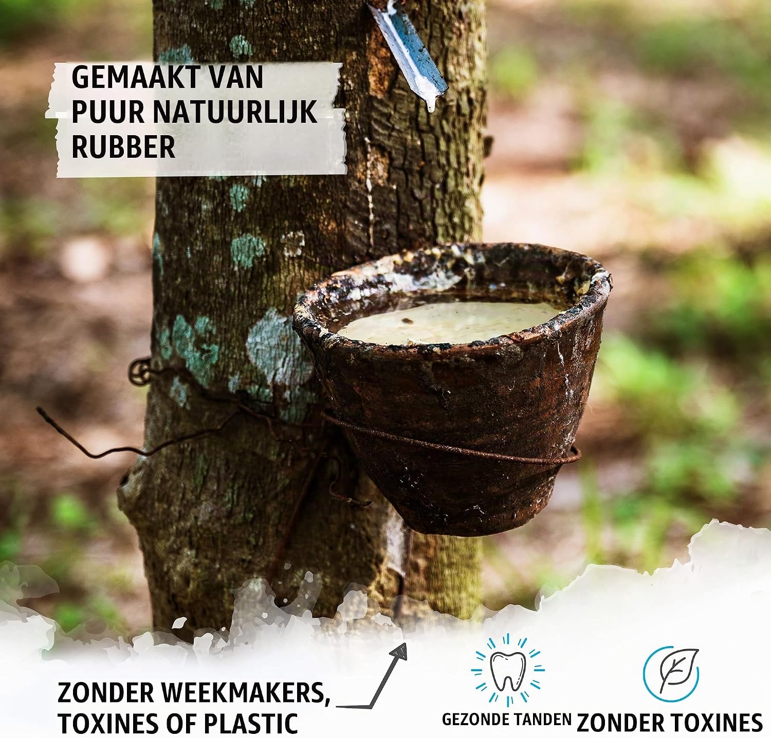 Thumbnail 3 de Rudelkönig EAA-BLOR-1-D hondenballen van natuurrubber, drijvend, 2 stuks