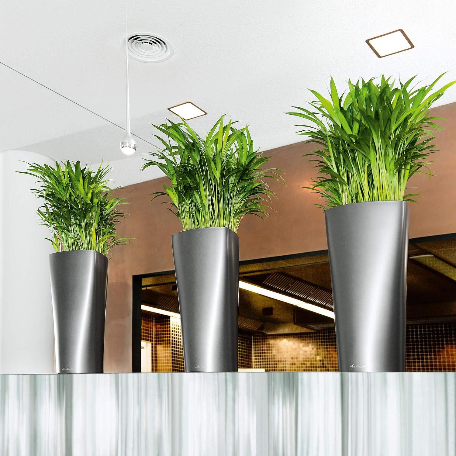 Detalle 2 de Lechuza Pot de Fleurs d'Interieur Premium Delta Rouge Scarlet avec Réserve d'Eau Intégrée