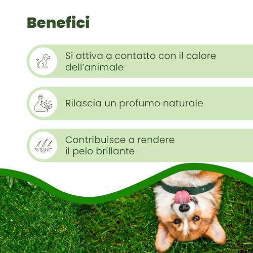 Detalle de CAMON Collare Protettivo per Cane (>10kg) con Olio di Neem, 60 cm: protezione naturale fino a 2 mesi