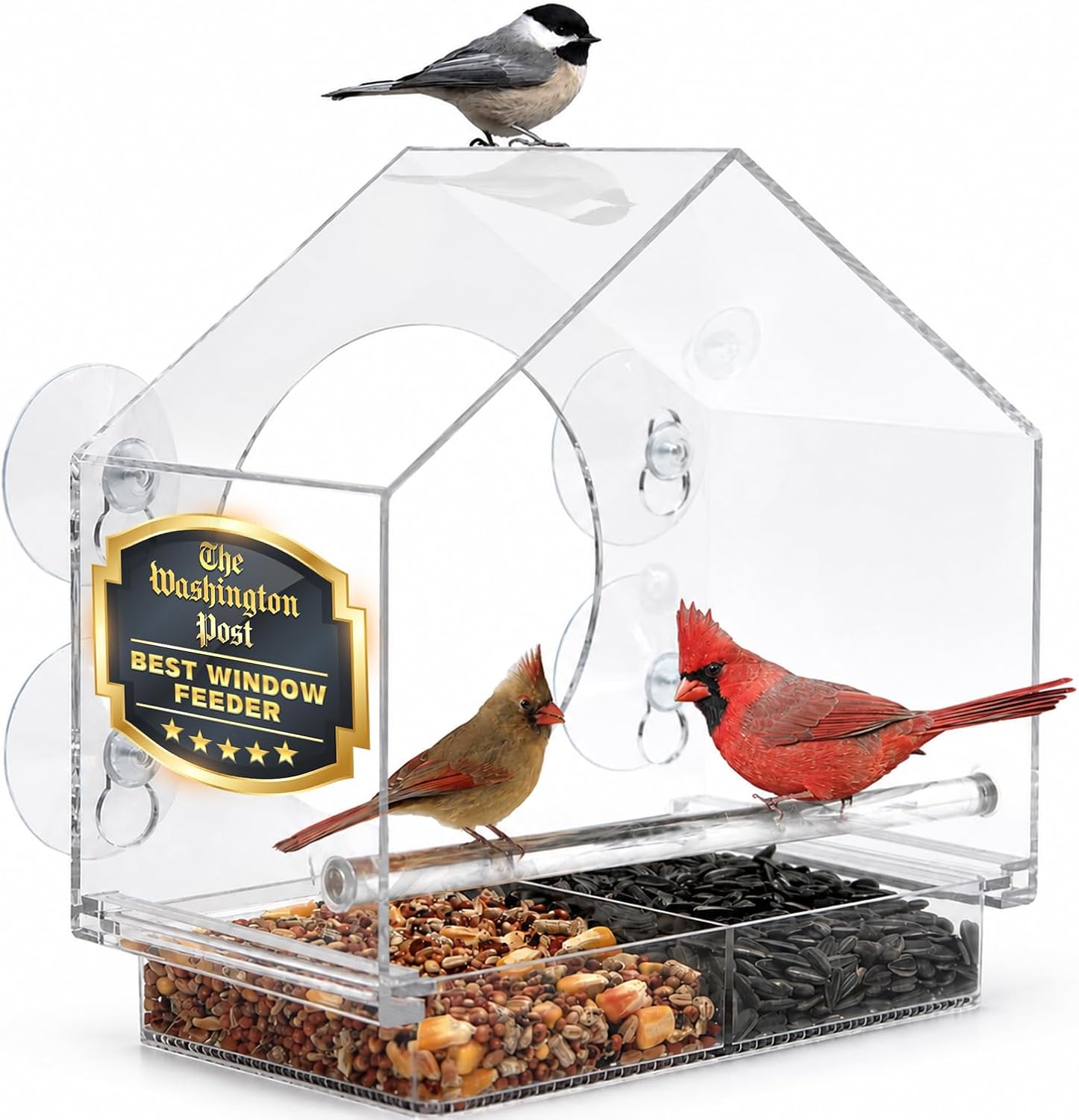 Detalle de Nature Anywhere 2022 Window Bird Feeder with Sliding Tray and 4 Suction Cups