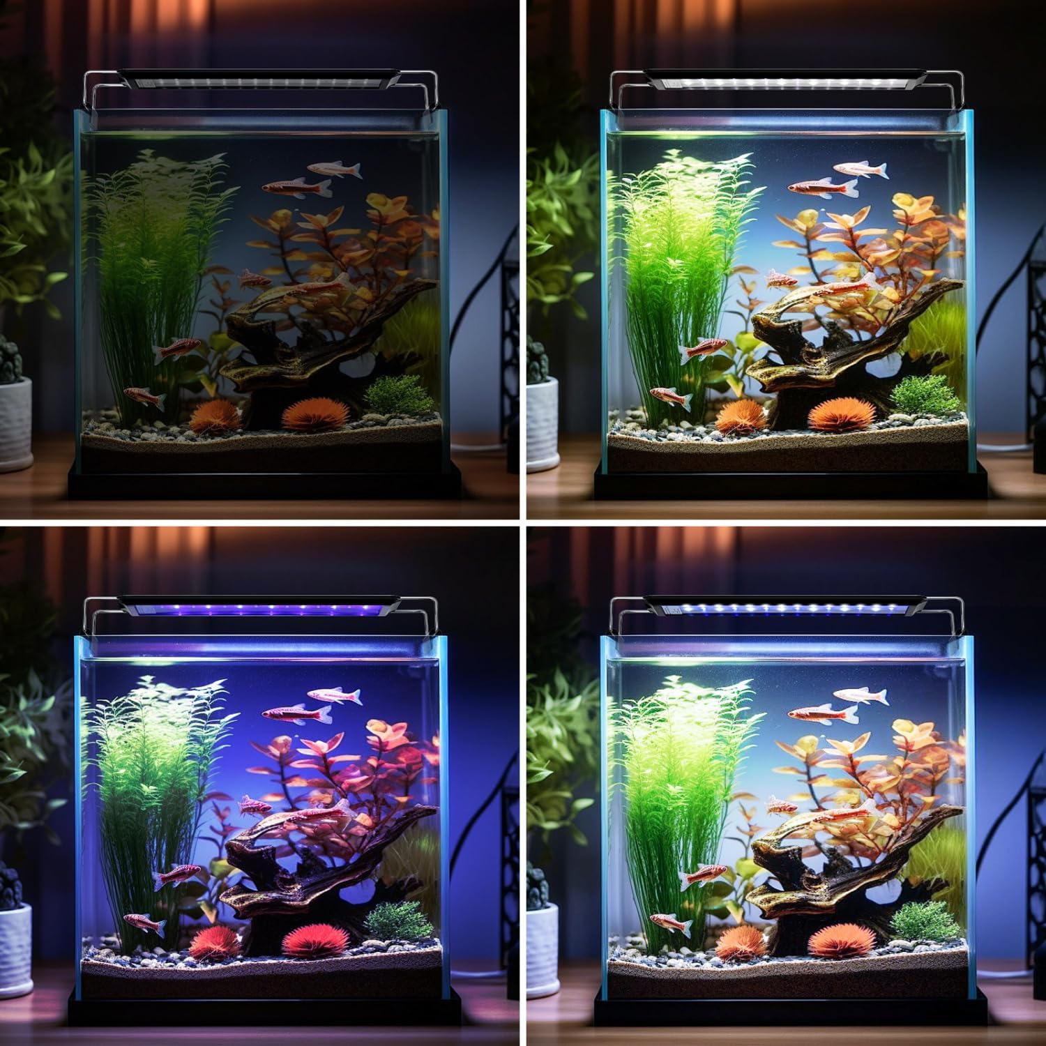 Thumbnail 5 de Nobleza Luce per Acquario con Timer e 3 Colori, 10 Livelli Luminosità, 8W (per acquari 30-50 cm)