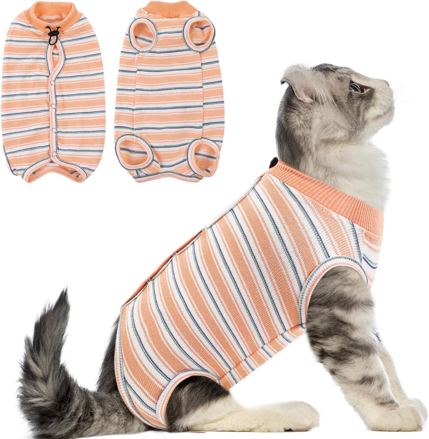 CITÉTOILE Katzenbody XS 🐾