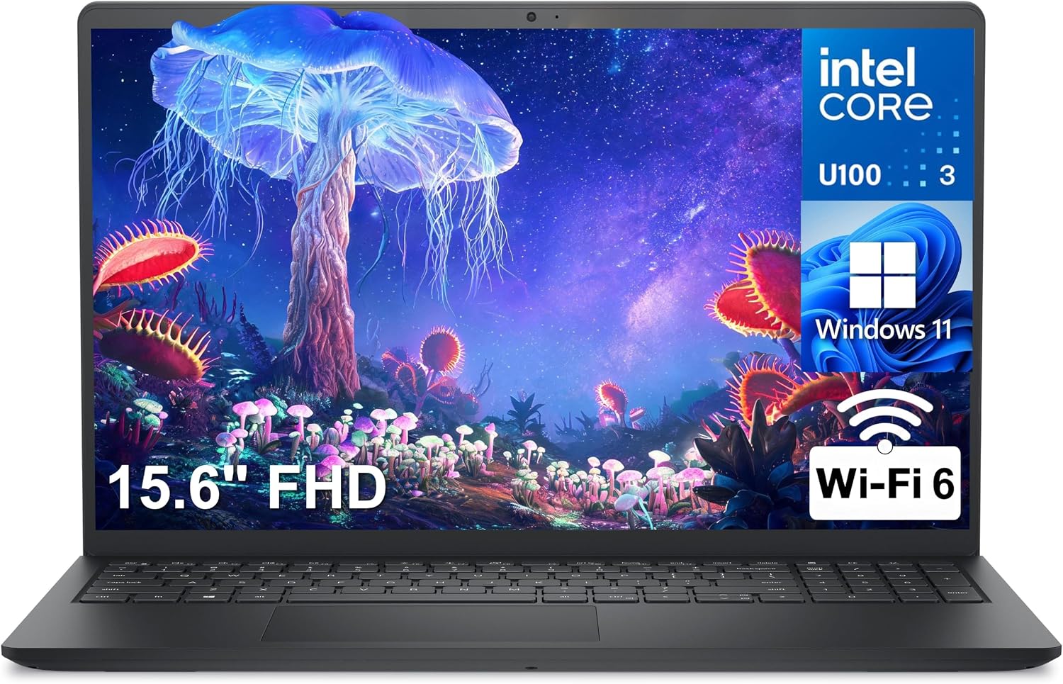 Detalle de Dell laptop with Intel Core 3 100U