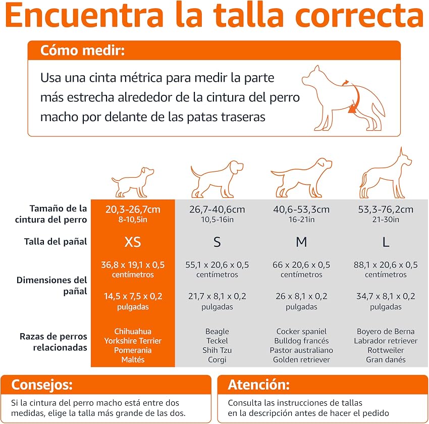 Detalle 2 de Amazon Basics Pañales para perros macho XS 30 unidades