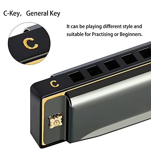 Detalle de Eastrock 10 Trous Harmonica Diatonique en Do – Noir, parfait débutant