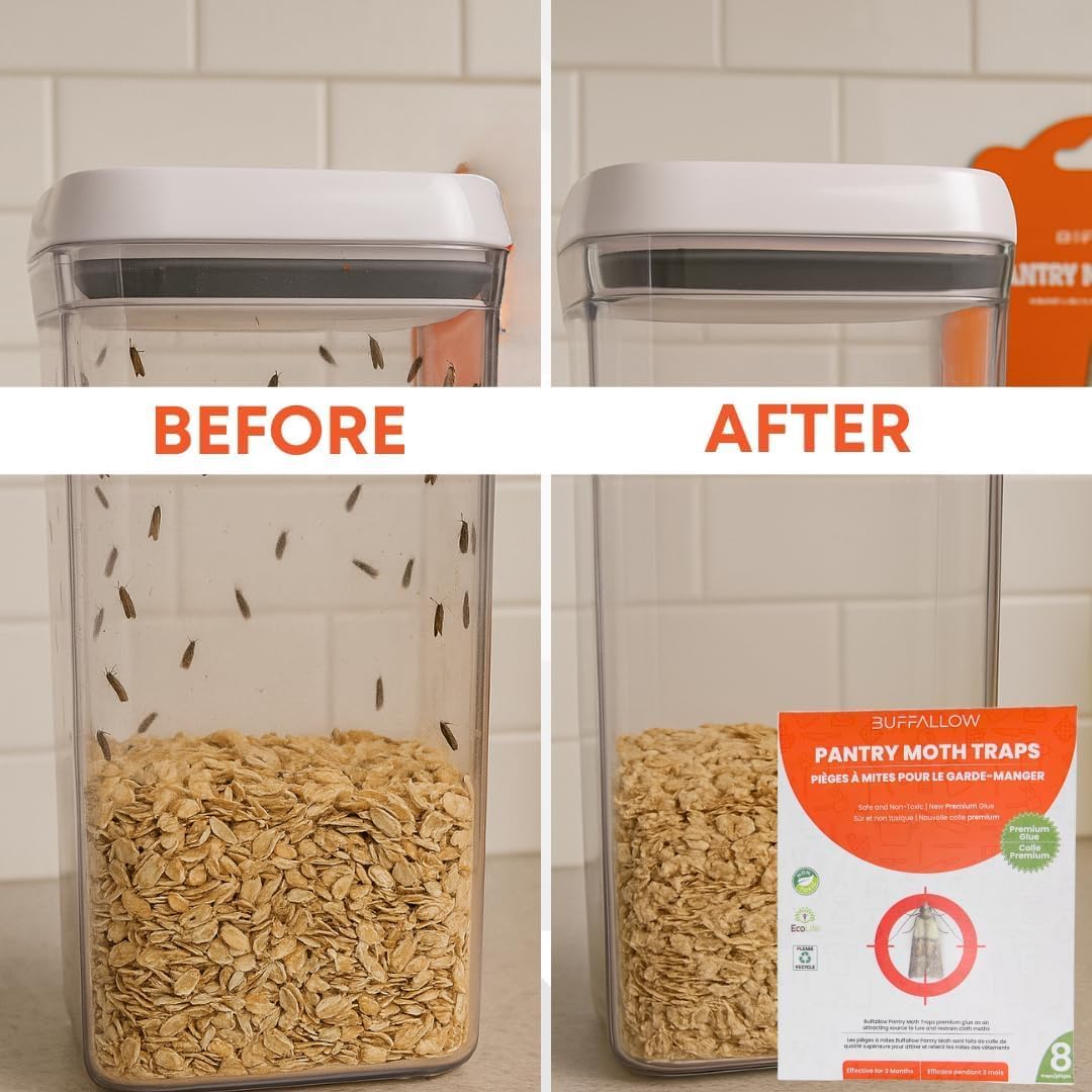 Thumbnail 6 de BUFFALLOW P8_Pantry_Moth_Traps Pantry Moth Glue Traps, Pack of 8