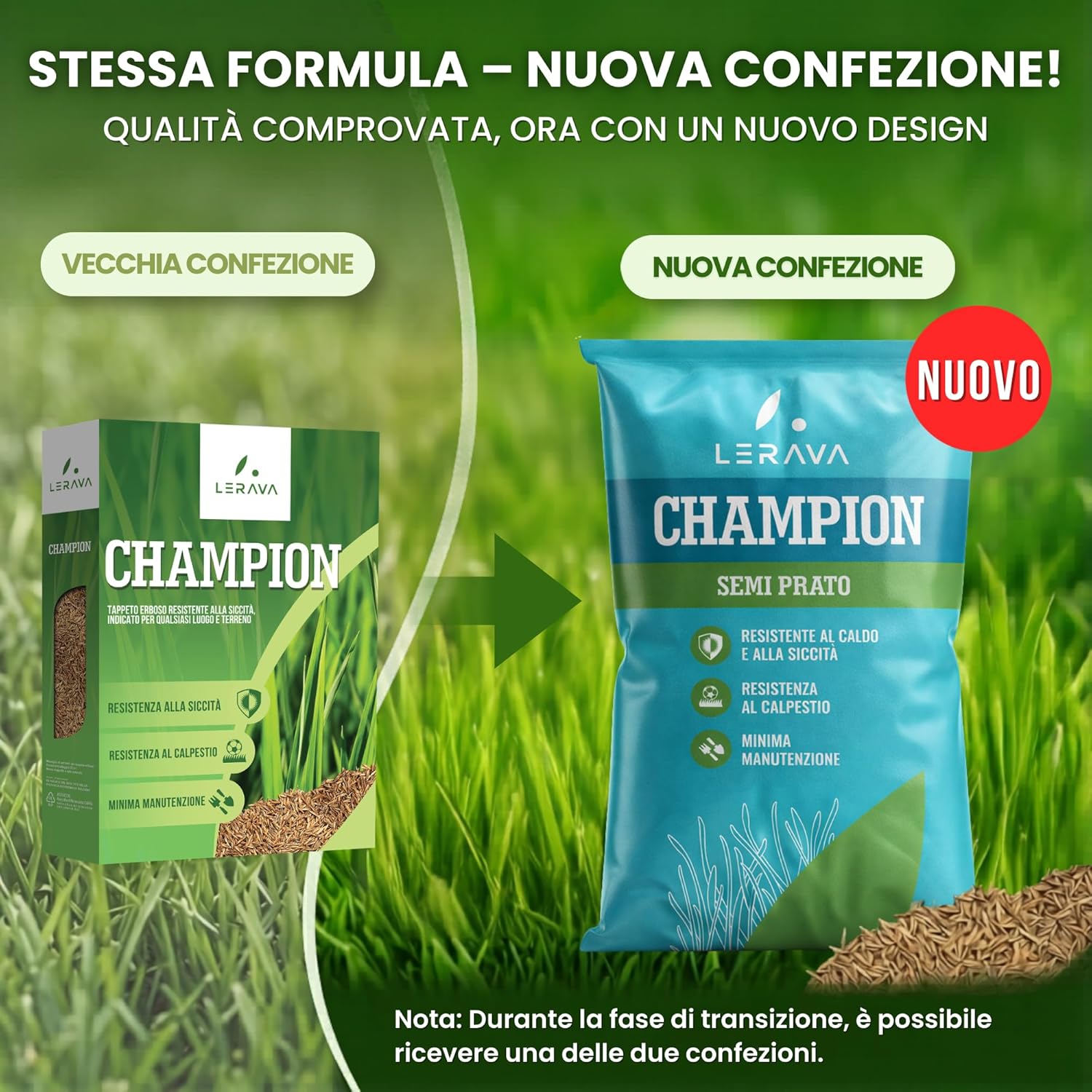 Detalle de LERAVA CHAMPION semi prato (30m²) – Festuca arundinacea di qualità per un prato verde intenso