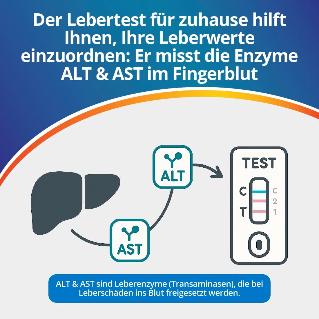 Thumbnail 2 de ADESTE Lebertest – Leberwerte Selbsttest, 1 Test