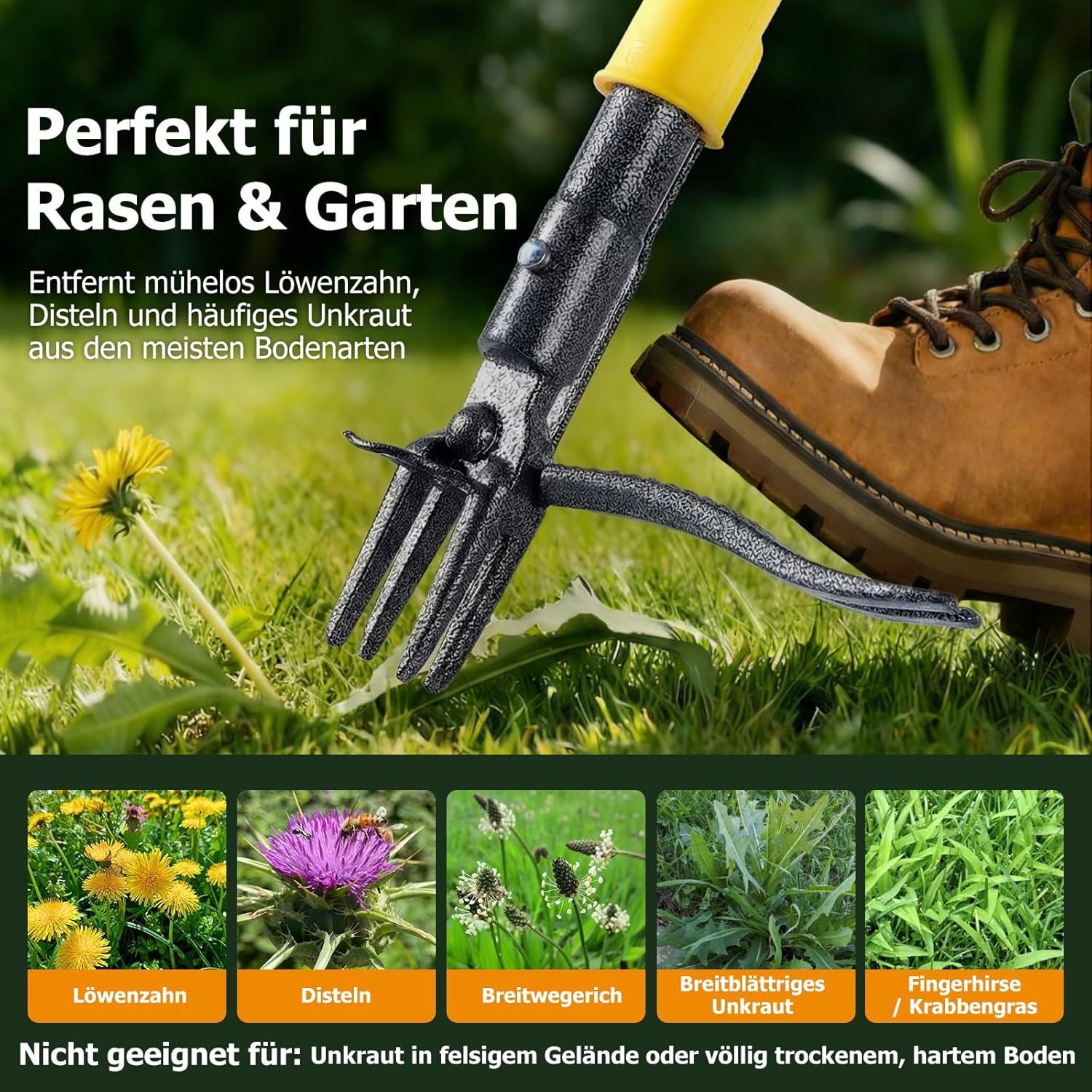 Detalle 2 de CJYMMFAN Unkrautstecher mit langem Stiel und Auswurfmechanismus – Stand-Up Unkrautentferner, 109 cm, 4-Teiliges Holzgriff-Setup