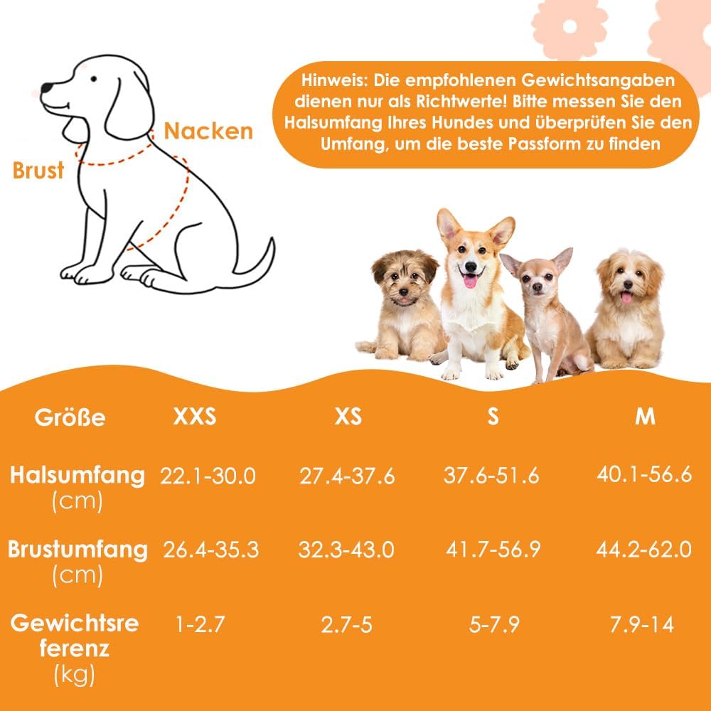 Detalle 2 de Eyein Hundegeschirr Kleine Hunde mit Leine – Atmungsaktives Step-in-Brustgeschirr (XXS)